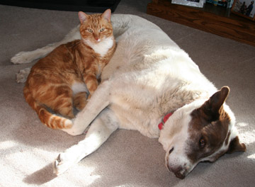 take it easy after surgery